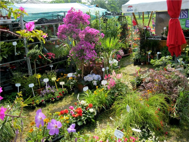Flora art 2011